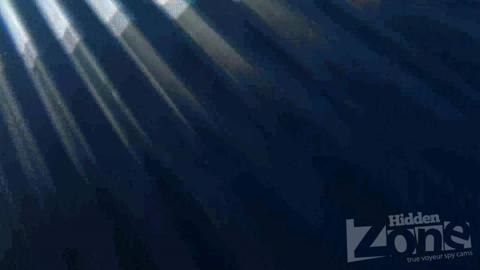 27046